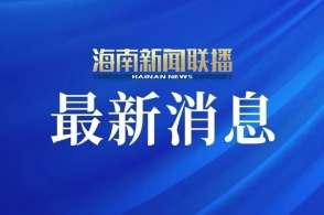新澳2025正版資料，新澳2025正版資料概覽