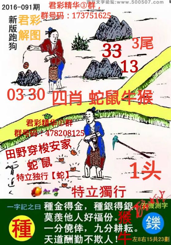 揭秘7777788888精準跑狗圖——一網(wǎng)打盡跑狗圖真相，揭秘跑狗圖真相，一網(wǎng)打盡精準跑狗圖解析