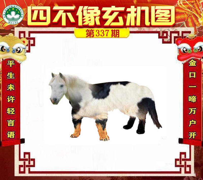 四不像今晚必中一肖，四不像預測，今晚必中一肖精選