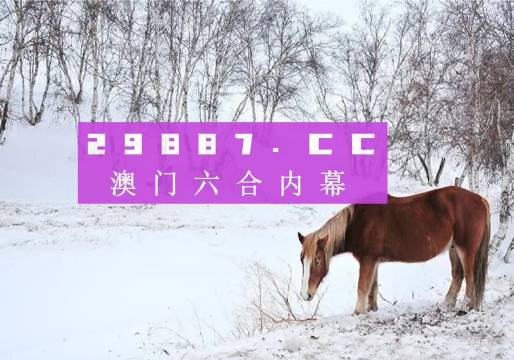 新澳門4949正版大全，探索真實與樂趣的交匯點，澳門正版4949探索真實樂趣交匯點
