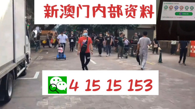揭秘管家婆一碼資料，數(shù)字時代的家庭管理新篇章，揭秘管家婆一碼資料，數(shù)字時代家庭管理的新篇章揭秘