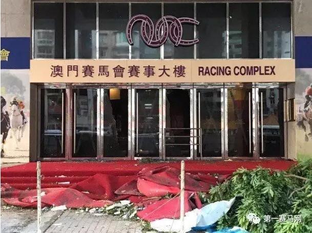 馬會(huì)傳真——澳門探秘，澳門探秘之旅，馬會(huì)傳真揭秘之旅
