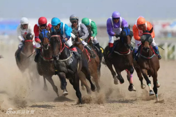 澳門開特馬 開獎結(jié)果，澳門特馬開獎結(jié)果揭曉