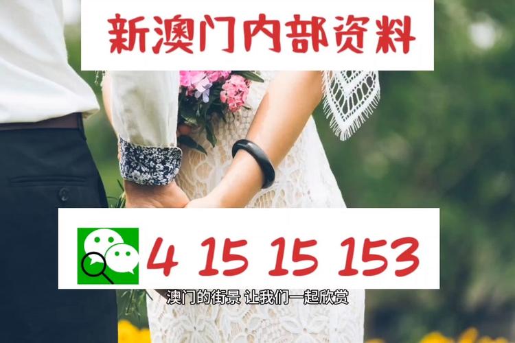 探索澳門，2020年正版資源的免費(fèi)寶藏，澳門探索之旅，2020年正版資源的免費(fèi)寶藏探索