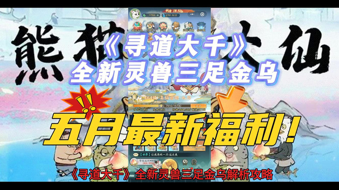 新奧彩天天資料大全最新版，一網(wǎng)打盡所有信息，新奧彩天天資料大全最新版，全面匯集所有最新信息