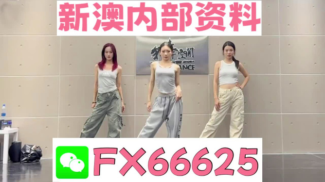 管家婆必出一中一特70期，深度解析與預測，管家婆必出一中一特70期深度解析與預測報告