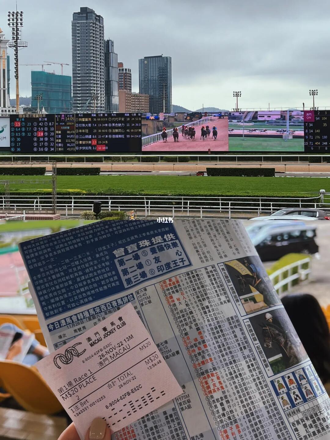 馬會傳真一香港版，探索與解讀，馬會傳真一香港版，深度探索與解讀