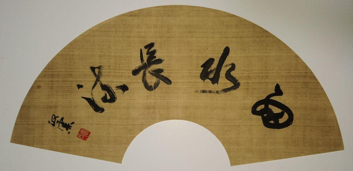揭秘4肖8碼資料公開，深度解析與全方位解讀，揭秘四肖八碼資料全面公開，深度解析與全方位解讀指南