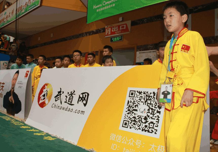 香港免費資料王中王大會解析手冊，免費解析2號篇，香港免費資料王中王大會解析手冊，2號篇詳解