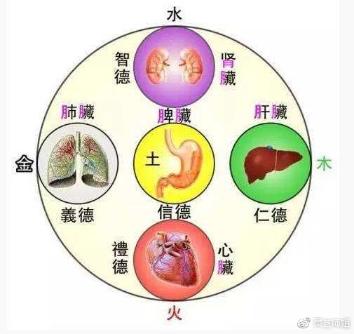 最準(zhǔn)一肖100%中一獎(jiǎng)金木水火土五行，最準(zhǔn)一肖，金木水火土五行助力中獎(jiǎng)100%