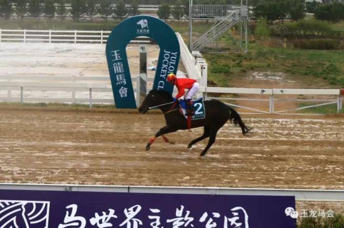 2021年香港賽馬開始了嗎，香港賽馬2021年賽事正式啟動