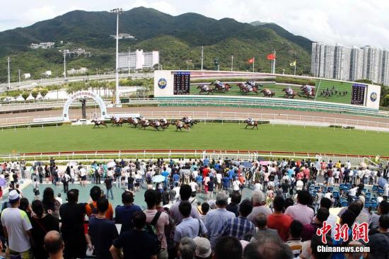 香港資料大全與正版資料2021，一站式了解香港的門戶，香港最新資訊門戶，一站式了解香港資料大全與正版資訊2021