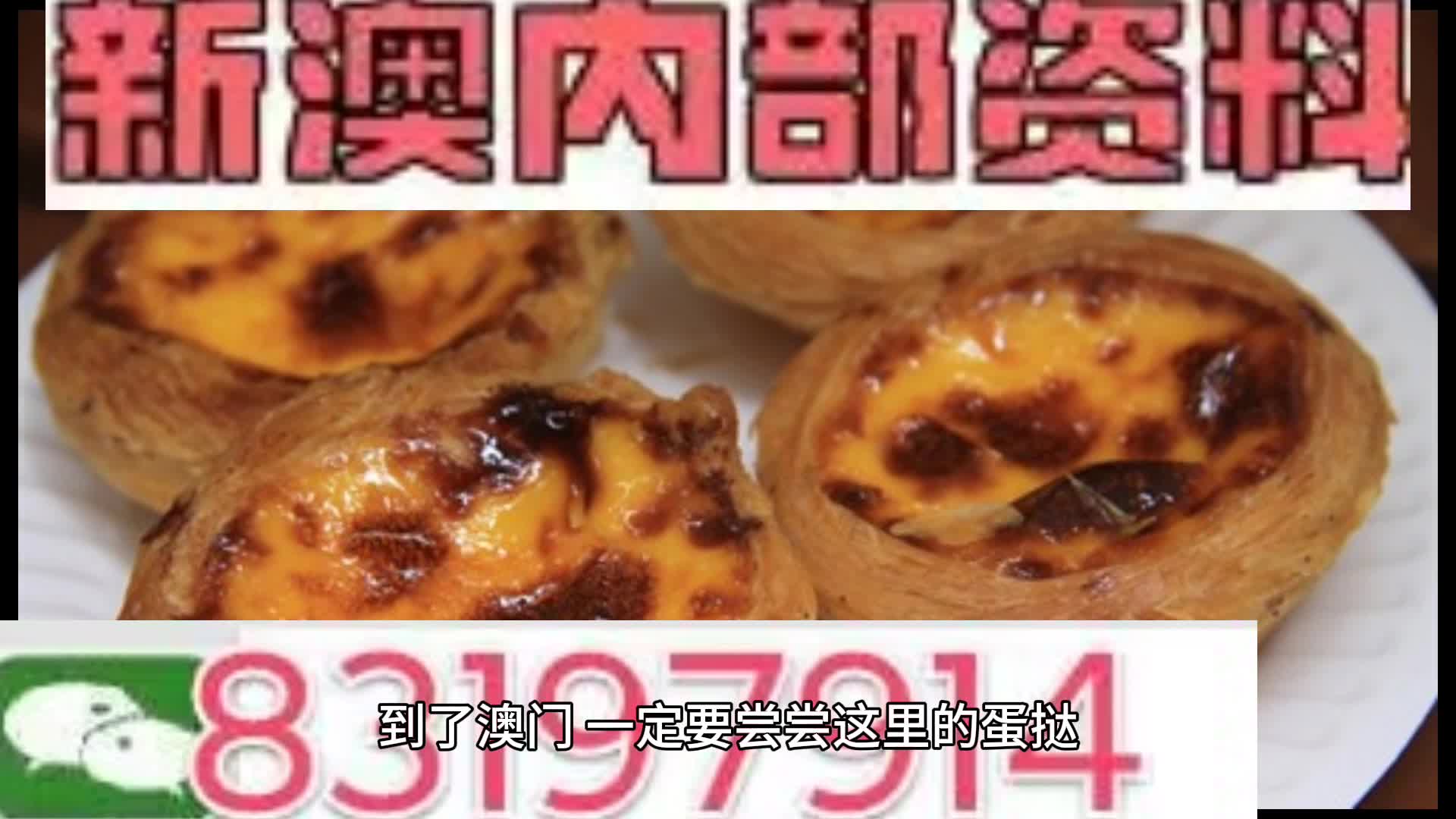 新澳門(mén)資料大全正版資料與奧利奧斗地主，一網(wǎng)打盡，澳門(mén)正版資料與奧利奧斗地主，一網(wǎng)打盡攻略