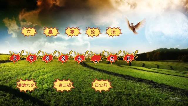 新澳門開獎結(jié)果開獎記錄表查詢網(wǎng)站下載，澳門開獎結(jié)果記錄表與開獎記錄查詢網(wǎng)站下載