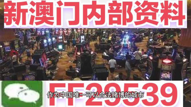 今晚澳門開獎號碼結(jié)果是多少號，澳門今晚開獎號碼結(jié)果揭曉