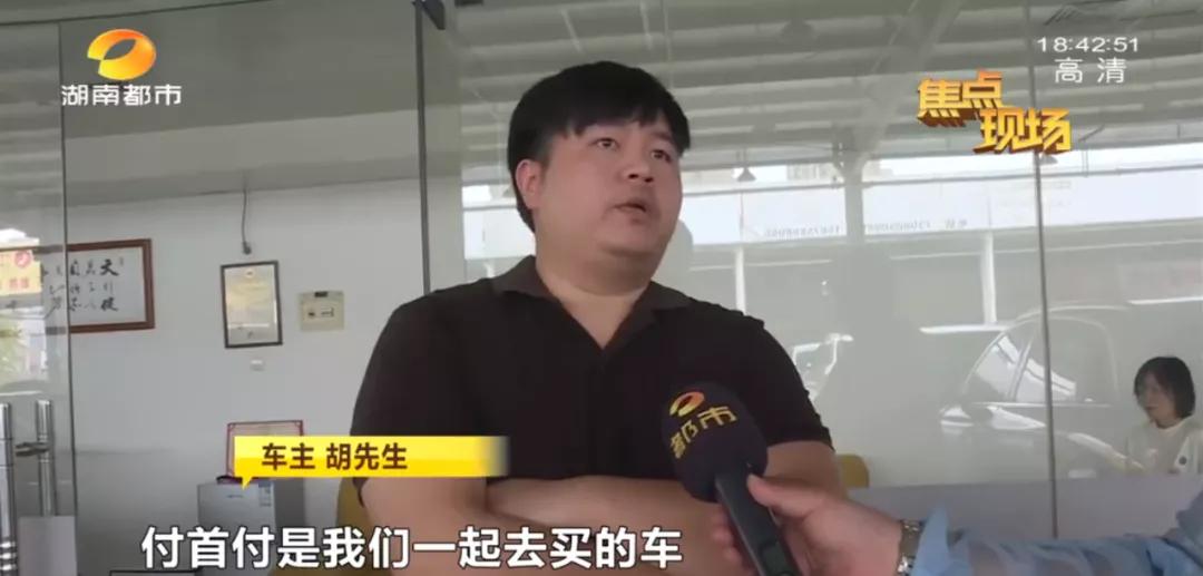 一肖最新精準資料，深度解讀與探討，一肖最新精準資料深度解讀與探討分析