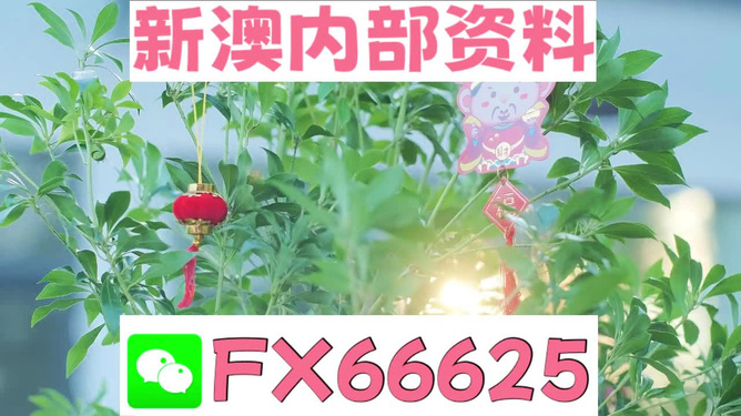 新澳好彩免費(fèi)資料查詢背后的故事，水果奶奶醉八仙，新澳好彩免費(fèi)資料查詢背后的故事，水果奶奶的八仙醉傳奇