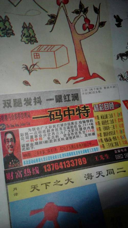 精準(zhǔn)王中王猜詩一肖，精準(zhǔn)猜詩高手揭秘，王中王猜詩揭秘生肖之謎