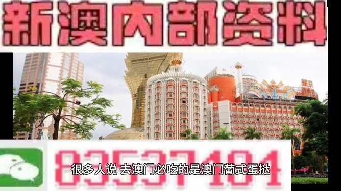 新澳門四肖三肖必開精準(zhǔn)4949，澳門精準(zhǔn)四肖三肖必開4949預(yù)測(cè)
