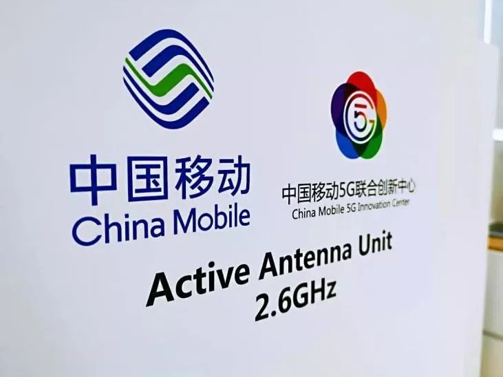 今晚澳門必中三肖三欣欣向，揭秘幸運之門，揭秘澳門今晚必中三肖三欣欣向的幸運之門