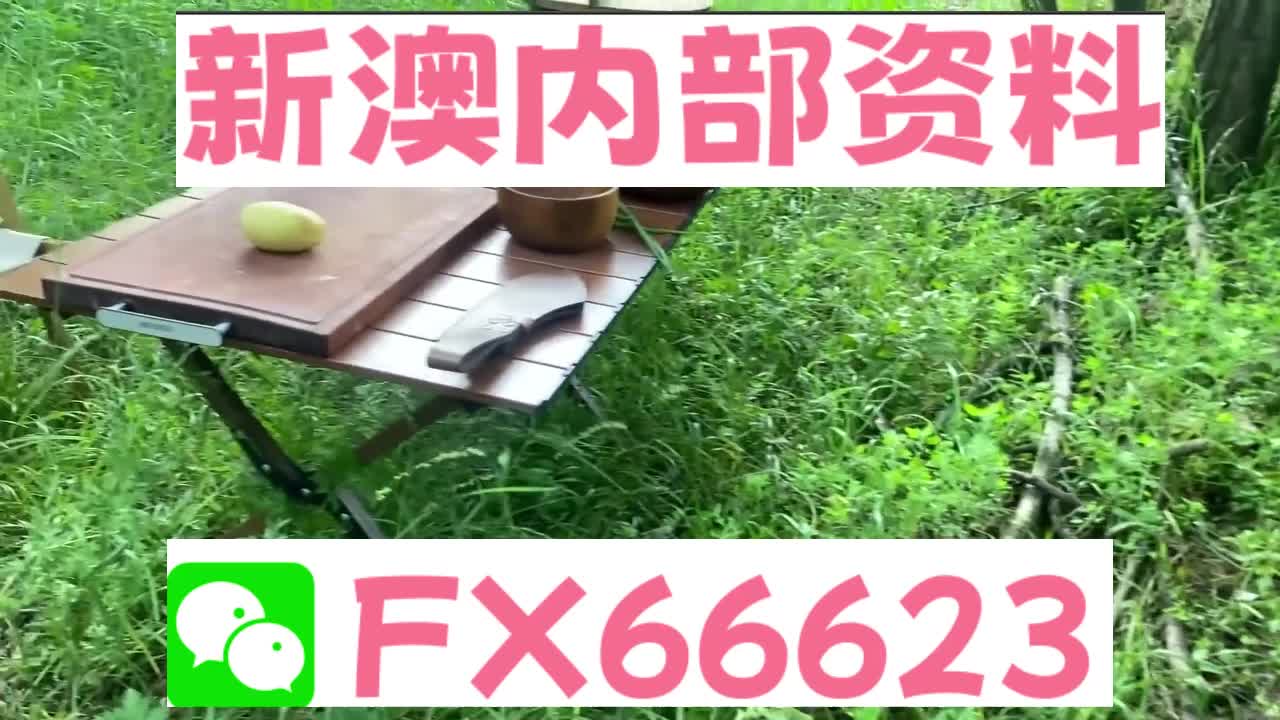 新澳資料免費精準(zhǔn)期期準(zhǔn)，新澳資料免費精準(zhǔn)預(yù)測