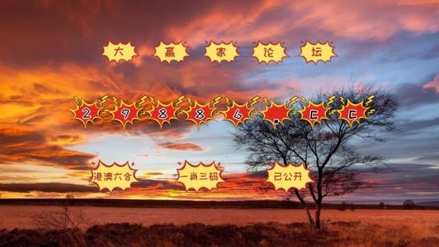 探索未來，2025澳門最精準跑狗圖揭秘，揭秘澳門跑狗圖，探索未來的精準預測（2025版）