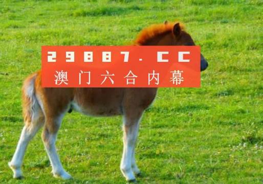 新澳門一肖一馬一恃一中，澳門生肖馬肖預(yù)測與特色探索