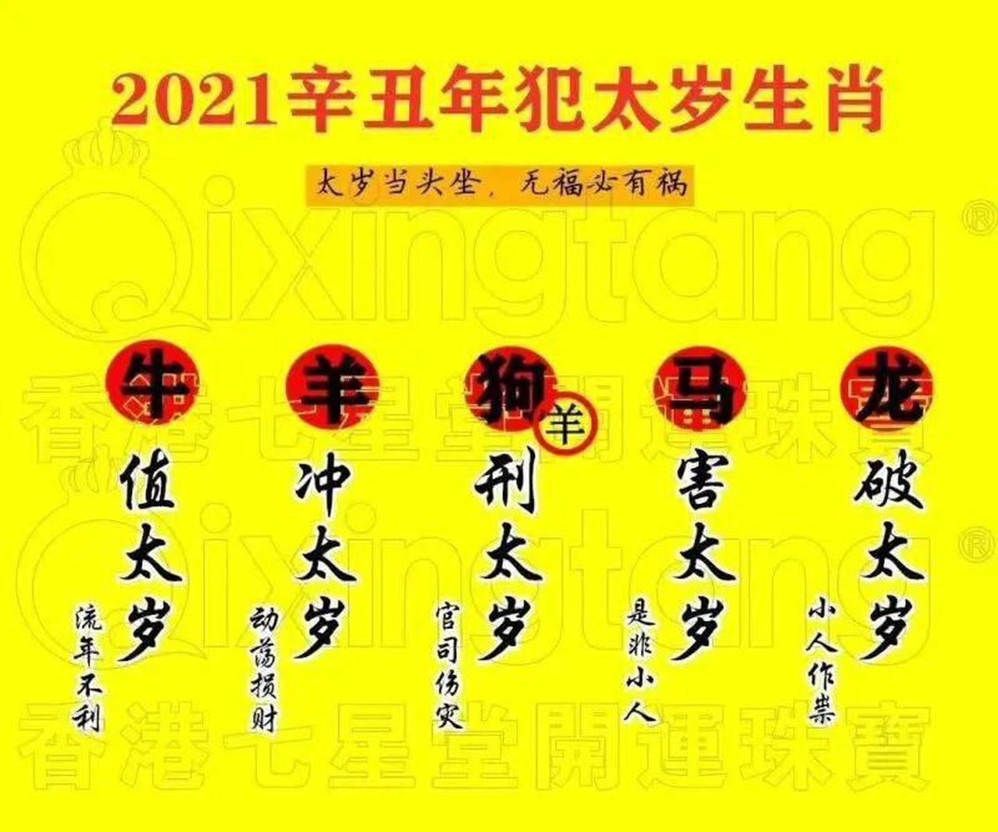 WW777766香港馬會總綱，探索賽馬運動的魅力與精髓，WW777766香港馬會總綱，賽馬運動的魅力與精髓探索