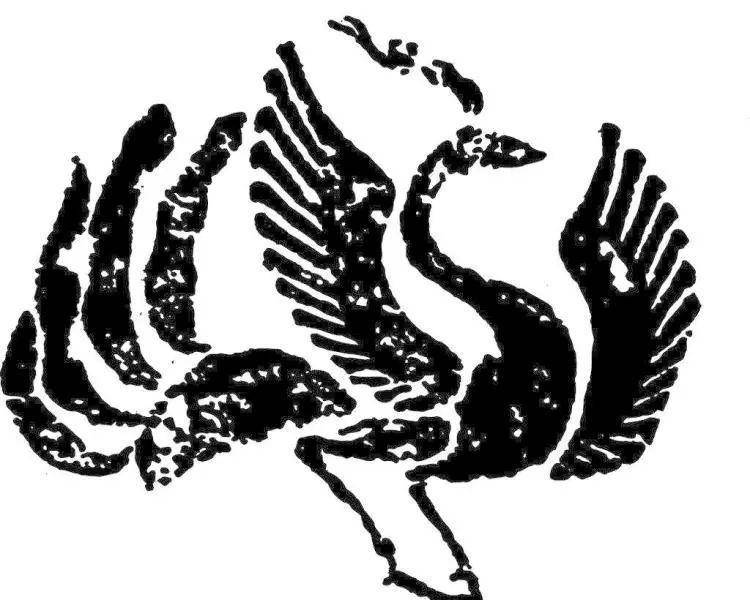 081987鳳凰論壇(一句解特)，081987鳳凰論壇，獨(dú)特解析揭秘