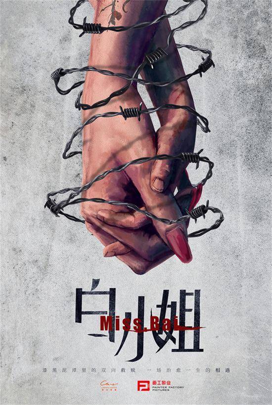 白小姐資料大全正版，白小姐資料大全正版匯總