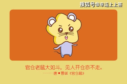 白小姐今天晚上出什么生肖啊，白小姐今晚生肖預(yù)測(cè)，揭秘幸運(yùn)生肖的神秘面紗
