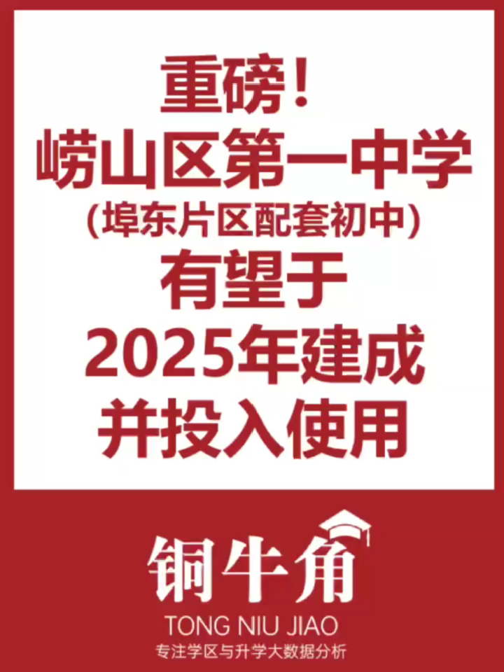2025年一肖一碼一中，2025年生肖碼預(yù)測，一肖一碼一中揭秘