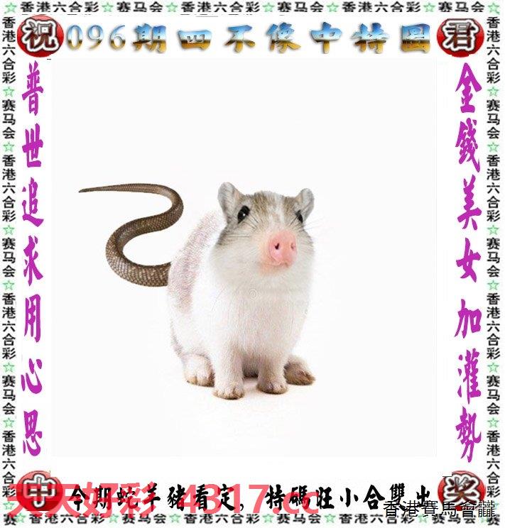 929219cc四不像幽默圖，四不像幽默圖，揭秘929219cc背后的趣味故事