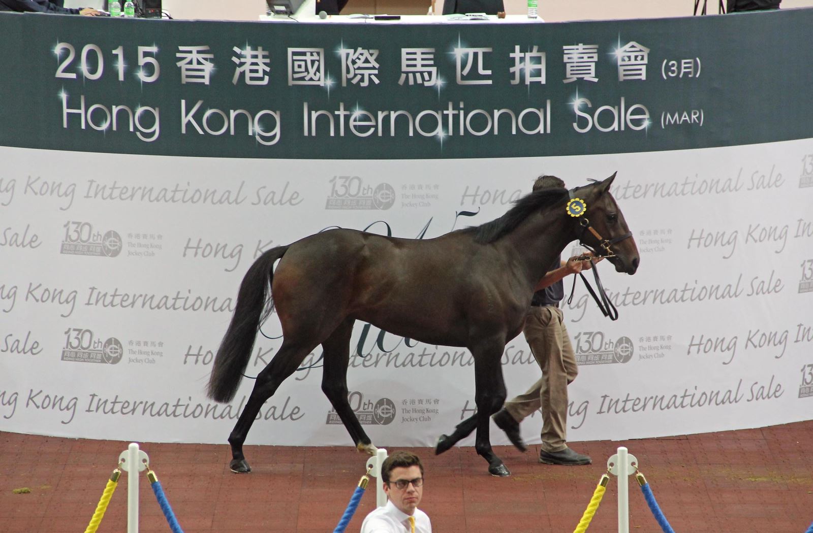 香港內(nèi)部馬料，香港內(nèi)部馬料揭秘