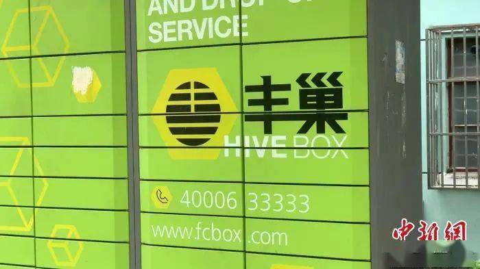 2025新門正版資料免費(fèi)大全，2025新門正版資料免費(fèi)大全，全面解析與分享