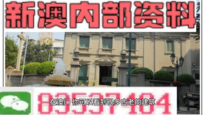澳門免費(fèi)材料資料，澳門免費(fèi)材料資料大放送