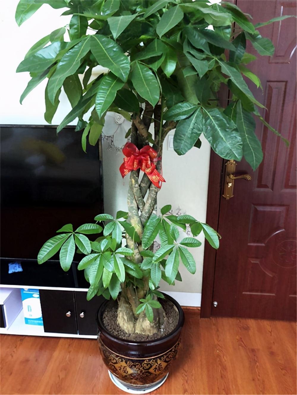 八方來(lái)財(cái)是什么生肖，八方來(lái)財(cái)對(duì)應(yīng)的生肖標(biāo)題，八方來(lái)財(cái)生肖揭秘，誰(shuí)是財(cái)富吸引最強(qiáng)生肖？