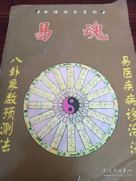 易魂新資料，易魂新資料概覽