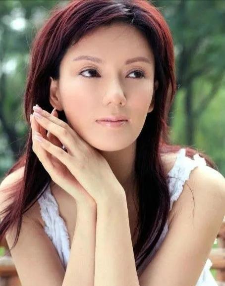 香港內(nèi)部免費資料大揭秘，香港內(nèi)部免費資料揭秘大放送