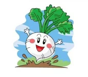 揭秘溜干二凈背后的生肖秘密，揭秘生肖背后的溜干二凈秘密
