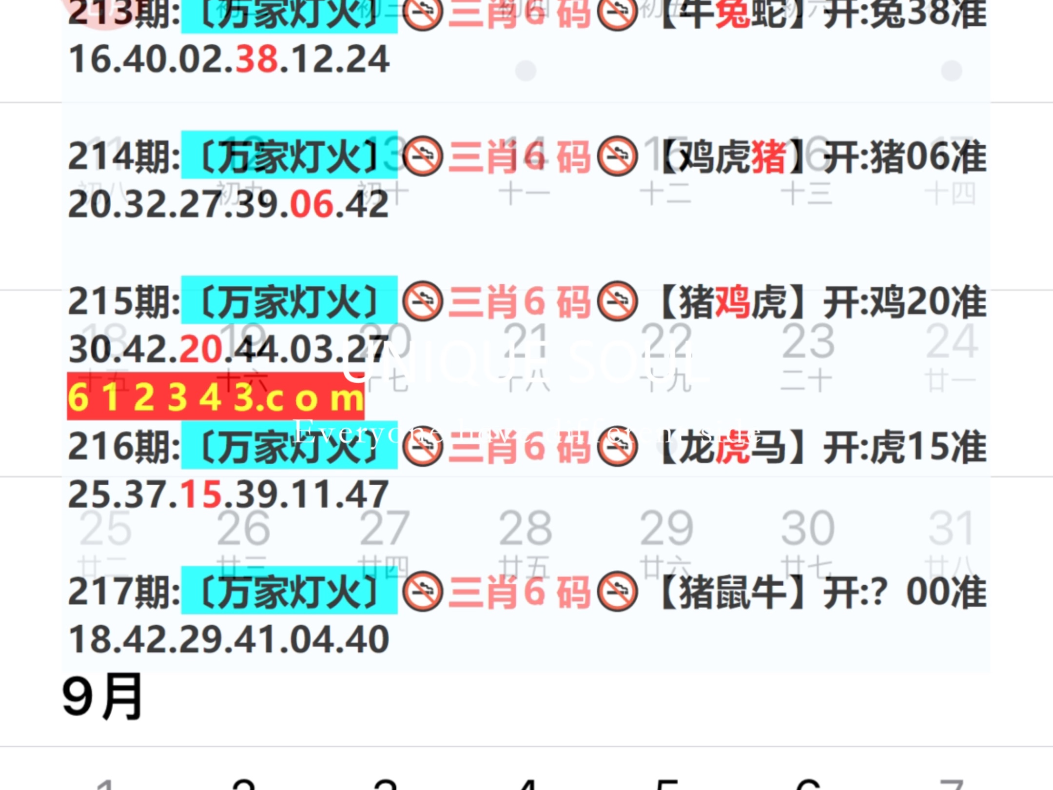 藍(lán)月亮四肖八碼精選大全，藍(lán)月亮四肖八碼精選總匯