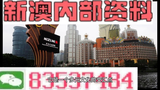 新澳門免費資料大全在線查看，澳門免費資料在線查看大全