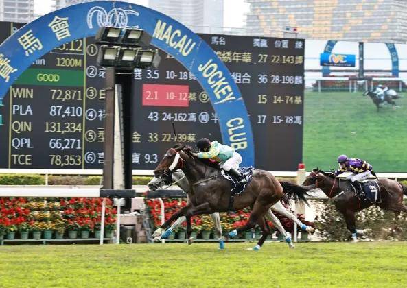 揭秘香港馬，7777788888背后的故事，揭秘香港賽馬背后的故事，數(shù)字組合77777與888888的神秘面紗
