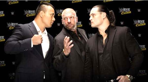 WWe免費資料大全，WWe免費資料大全全解析