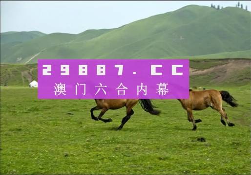 澳門天天彩期期精準(zhǔn)龍門客棧，揭秘彩票背后的秘密，澳門天天彩期期精準(zhǔn)揭秘，龍門客棧彩票背后的秘密探索