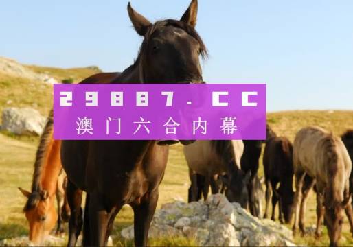 澳門管家婆一肖一碼一中一，揭秘與解析，澳門管家婆一肖一碼揭秘與解析
