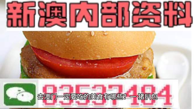 新門內(nèi)部資料精準(zhǔn)大全揭秘，新門內(nèi)部資料揭秘大全