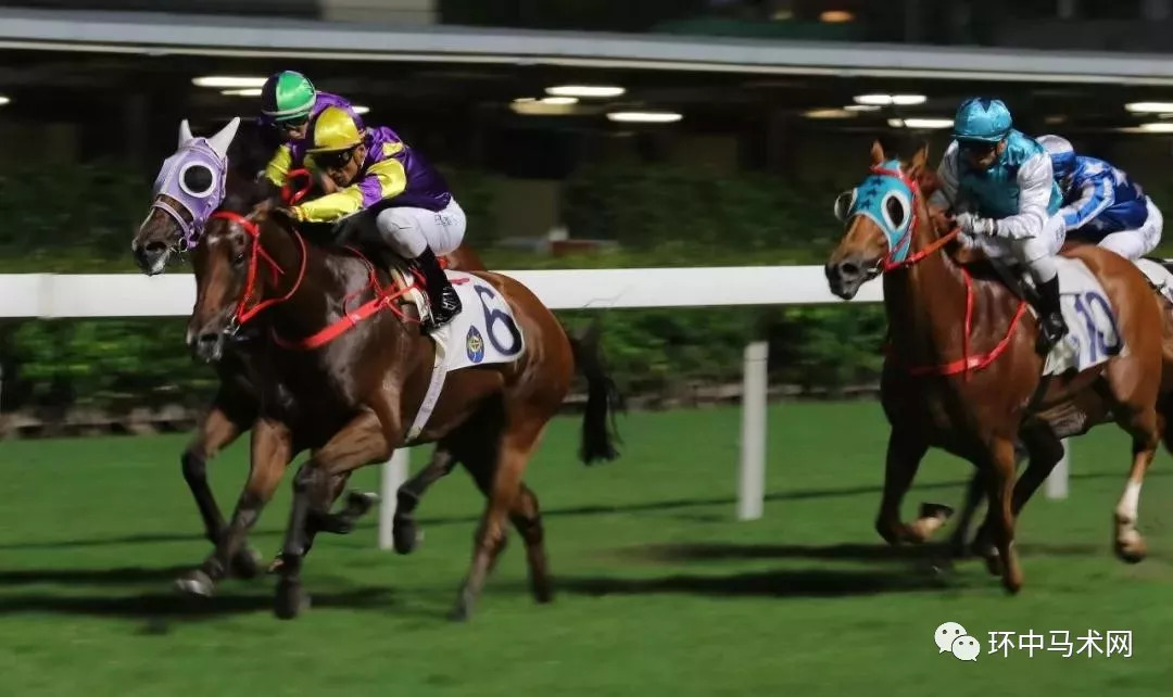 香港今晚特馬揭曉，期待與驚喜交織的時刻，香港今晚特馬揭曉，期待與驚喜的時刻