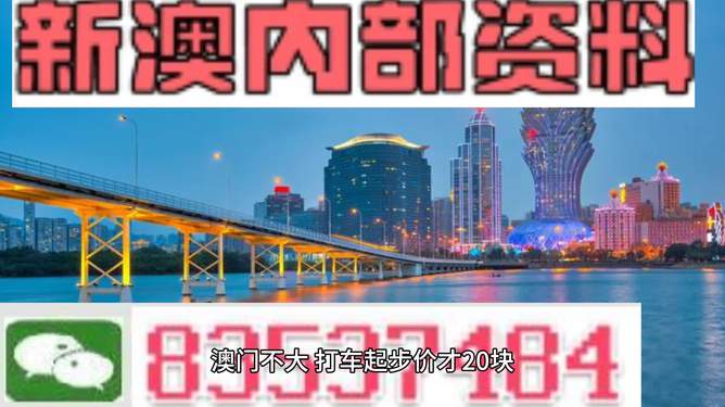 新澳門王中王2025年的輝煌展望，澳門王中王2025年展望，輝煌未來值得期待