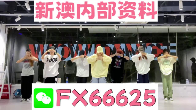 揭秘管家婆最準(zhǔn)一碼一肖的神秘面紗，揭秘管家婆最準(zhǔn)一碼一肖的秘密面紗
